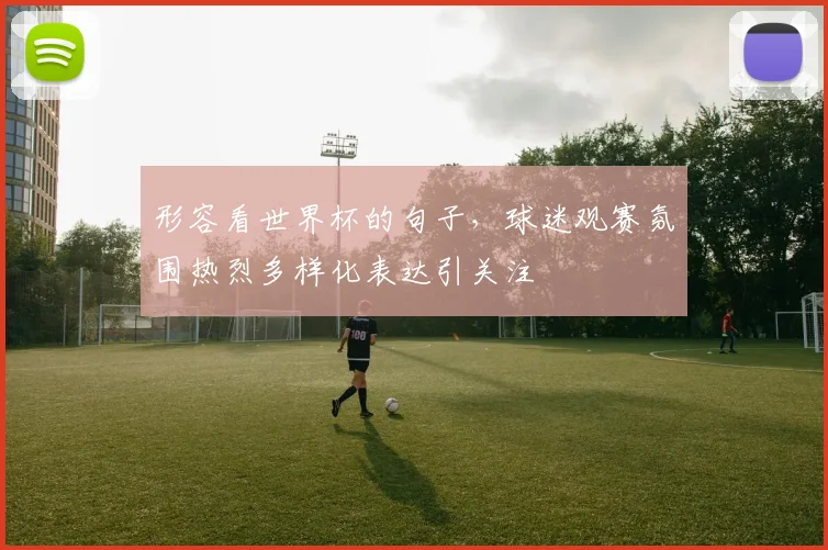 形容看世界杯的句子,球迷观赛氛围热烈多样化表达引关注
