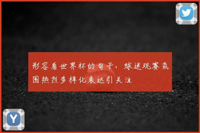 形容看世界杯的句子,球迷观赛氛围热烈多样化表达引关注
